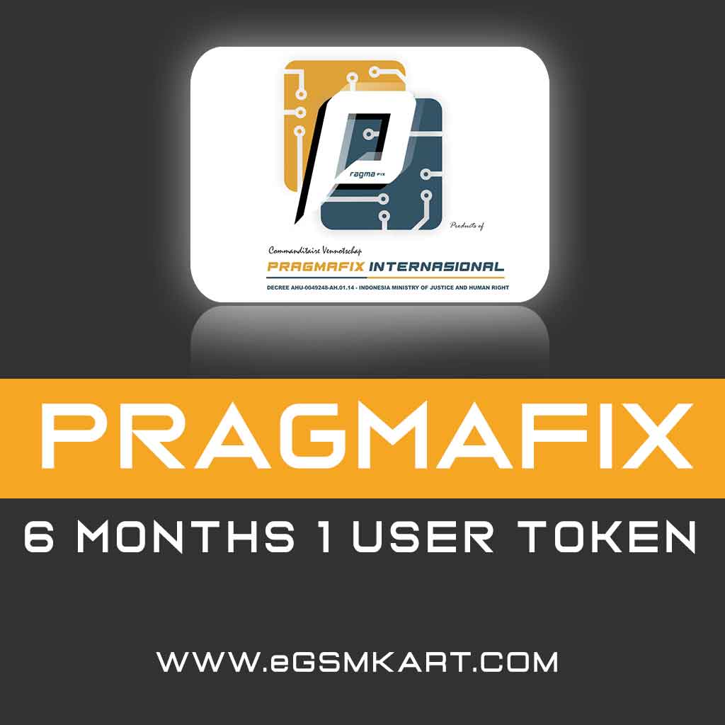 Pragmafix 6 Months Activation Code (1 User)